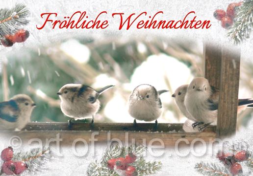 Grußkarte Schwanzmeise "Fröhliche Weihnachten" p748